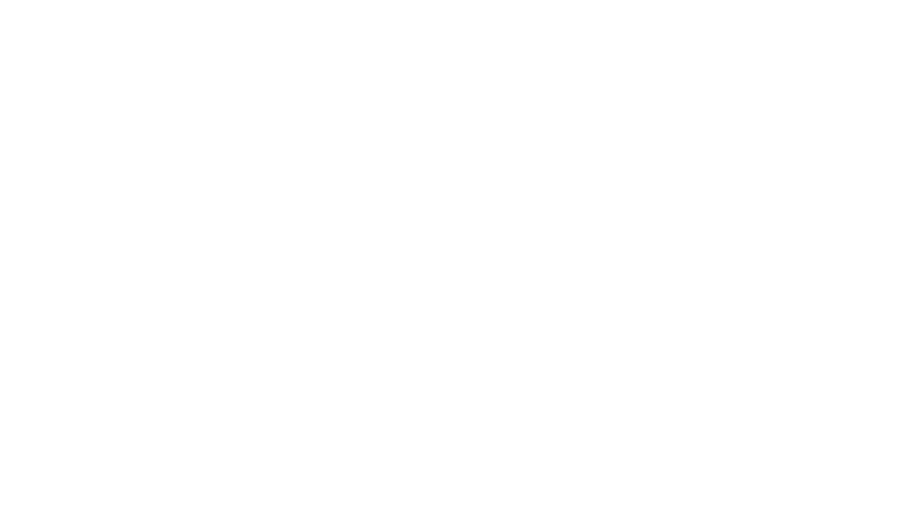 P2M JUNIOR